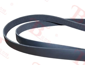 Poly V Belt